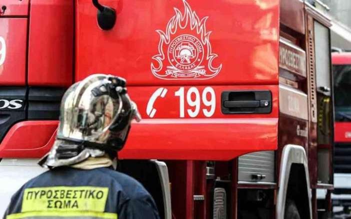 Συναγερμός στη Φωκίδα: Πύρινη μάχη στην Αγία Ευθυμία – Εναέρια μέσα στη «γραμμή του πυρός»