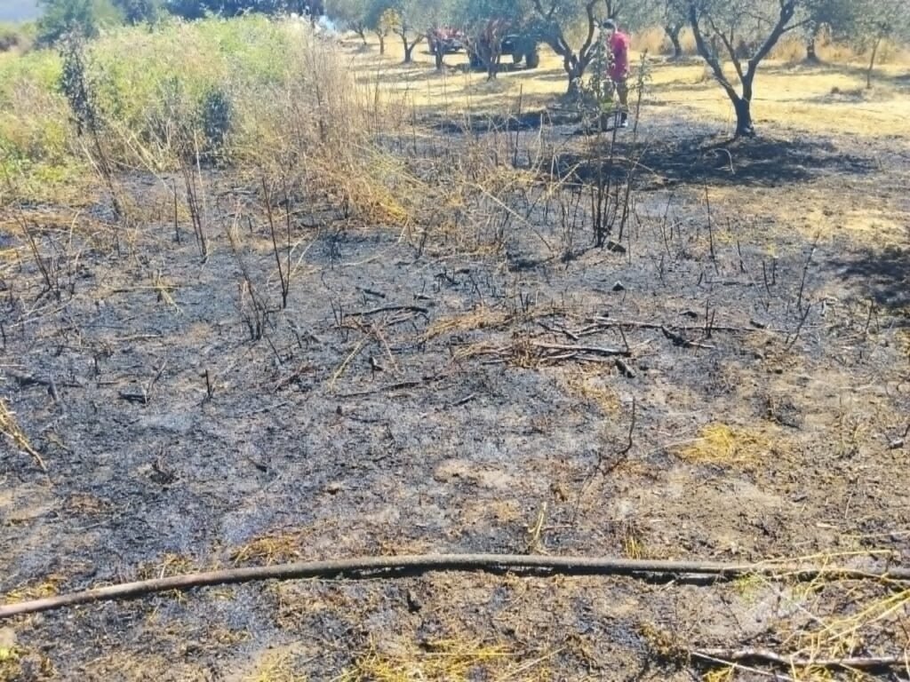 Φωτιά στον Πολύλοφο Δυτικής Αχαΐας – Άμεση επέμβαση της Πυροσβεστικής, αποφεύχθηκαν τα χειρότερα
