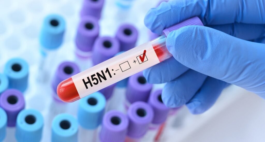 Η γρίπη των πτηνών H5N1 εντοπίστηκε για πρώτη φορά στην Αυστραλία