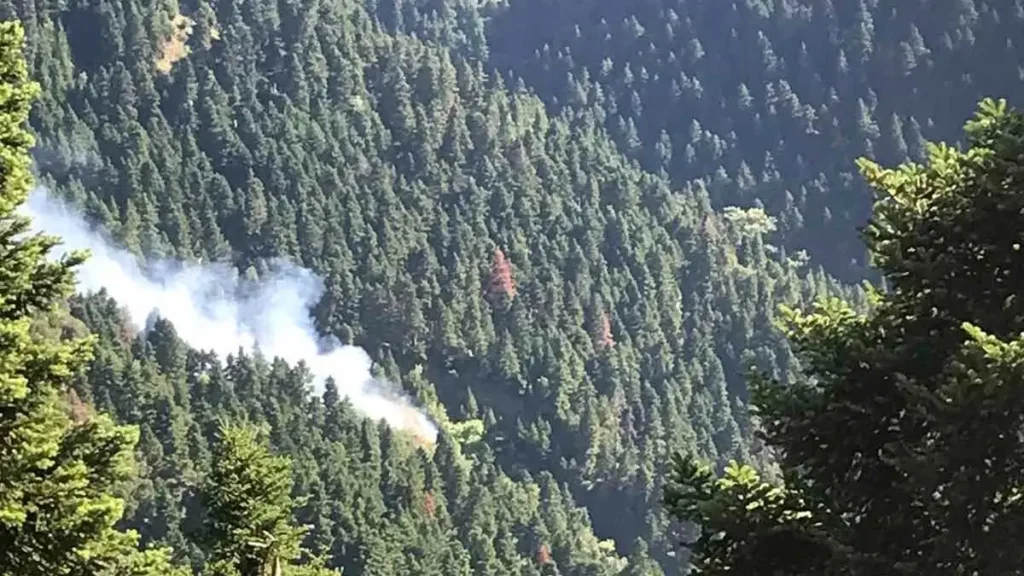 Φωτιά στα Κρυονέρια Ναυπακτίας: Μεγάλη κινητοποίηση της Πυροσβεστικής